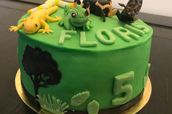 green-fondant614D869C-A244-51EE-2158-D870AA57E911.jpg